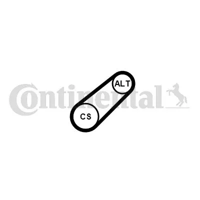 CONTINENTAL CTAM V-Ribbed Belt (6PK799ELAST)