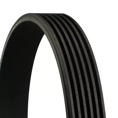 CONTINENTAL CTAM V-Ribbed Belt (6PK799ELAST)