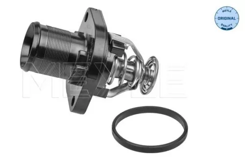 Thermostat, coolant