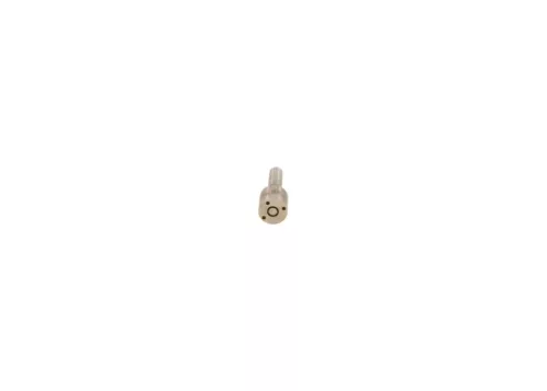 BOSCH Nozzle (0433172004)