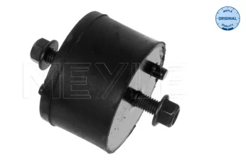 Mounting, engine