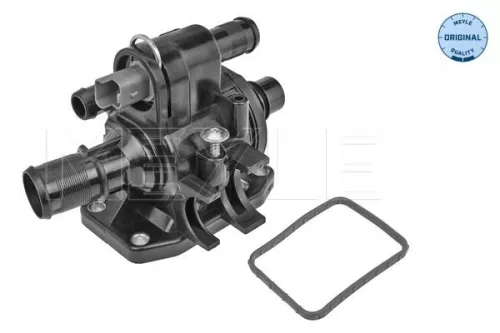 Thermostat, coolant