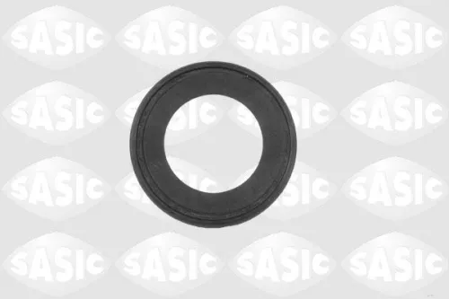 SASIC Shaft Seal, differential (1950002)