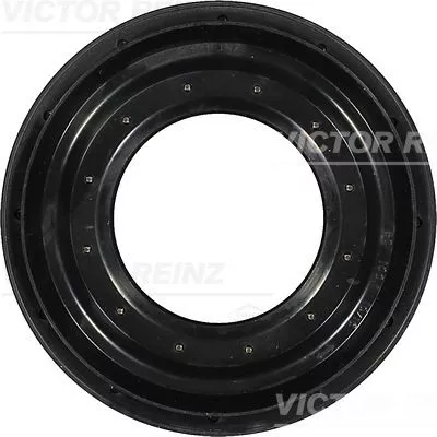 Shaft Seal, differential