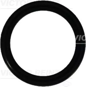 Seal Ring