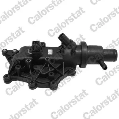 Thermostat, coolant