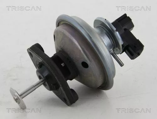 TRISCAN EGR Valve (881311002)