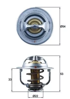 Thermostat, coolant