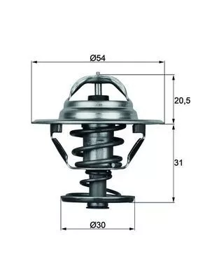 Thermostat, coolant