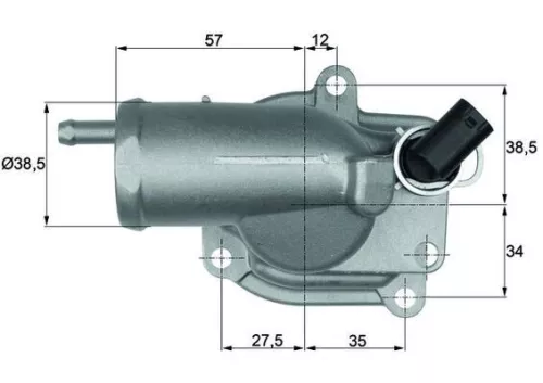 Thermostat, coolant