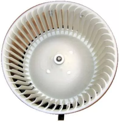Interior Blower