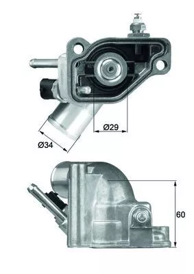 Thermostat, coolant