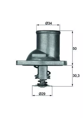 Thermostat, coolant