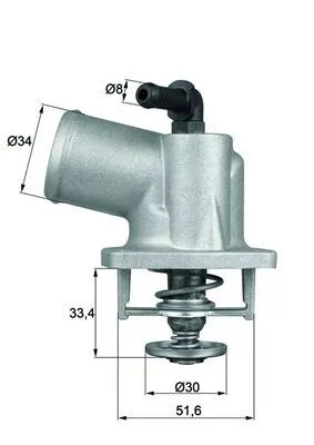Thermostat, coolant