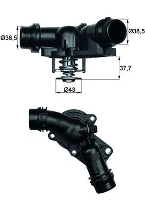 Thermostat, coolant