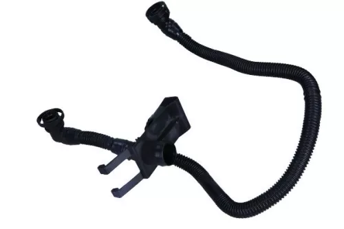 Hose, cylinder head cover ventilation