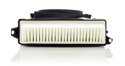 MANN-FILTER Air Filter (C29035-2)