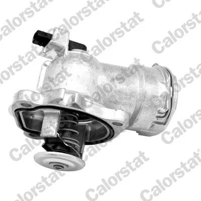 CALORSTAT by Vernet Thermostat, coolant (7156.87J)