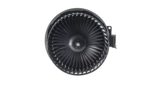 Interior Blower