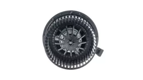 Interior Blower