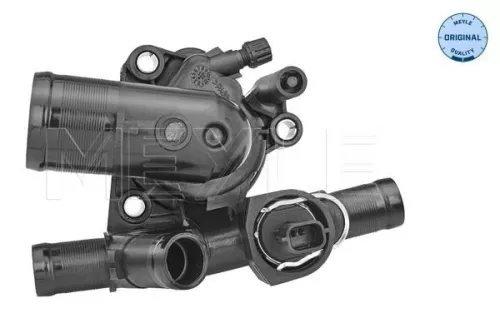 Thermostat, coolant