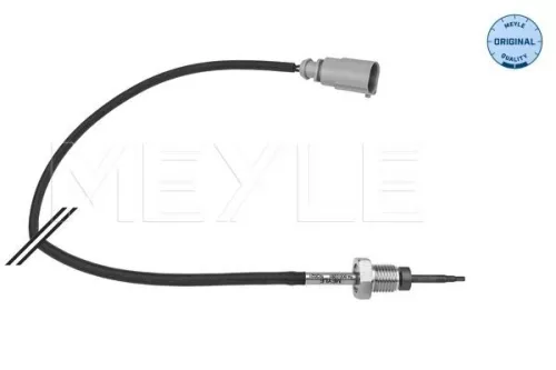Sensor, exhaust gas temperature