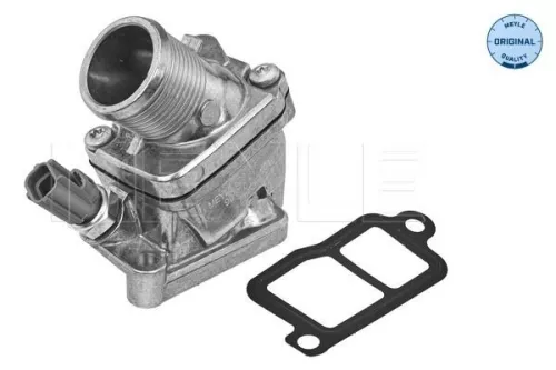 Thermostat, coolant