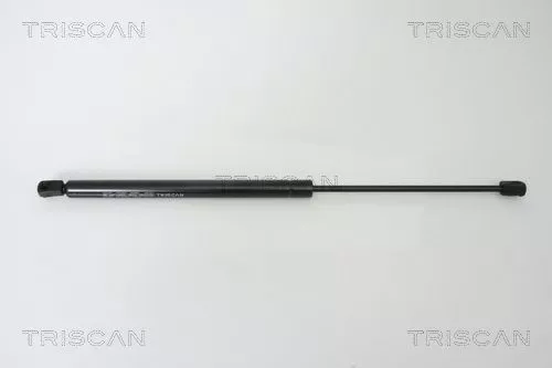 Gas Spring, boot/cargo area