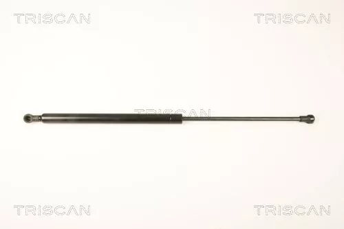Gas Spring, boot/cargo area