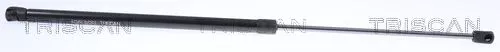 Gas Spring, boot/cargo area