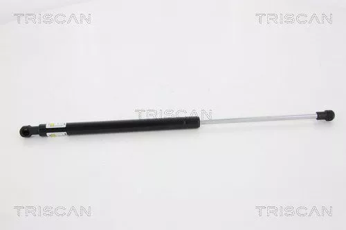 Gas Spring, boot/cargo area