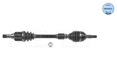 Drive Shaft