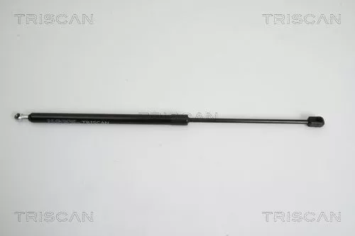 Gas Spring, boot/cargo area