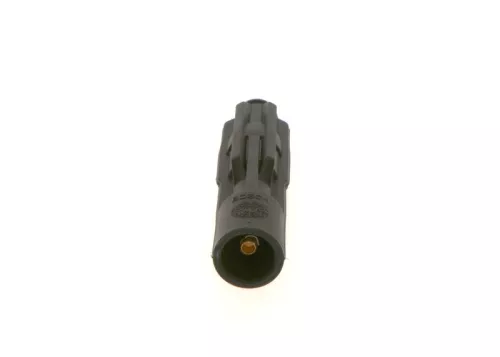 Plug, spark plug