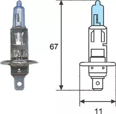Bulb