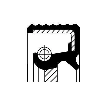 Shaft Seal, intermediate shaft