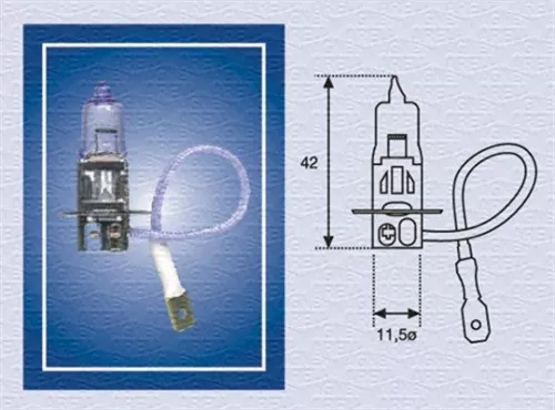 Bulb