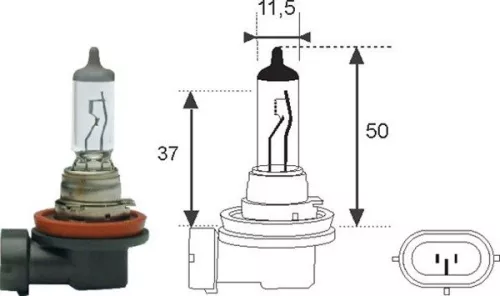 Bulb