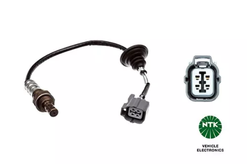 Oxygen Sensor