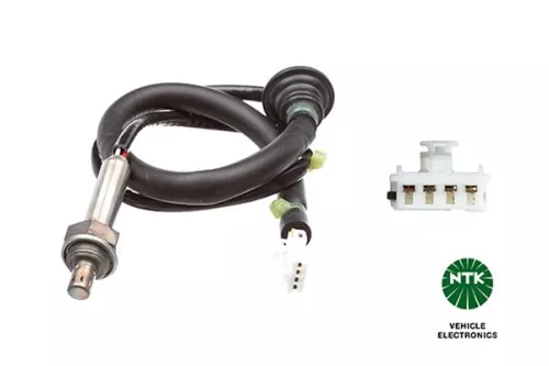 Oxygen Sensor