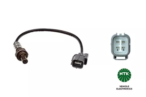 Oxygen Sensor