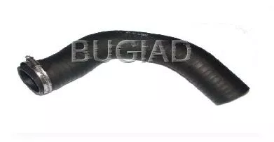 Charge Air Hose