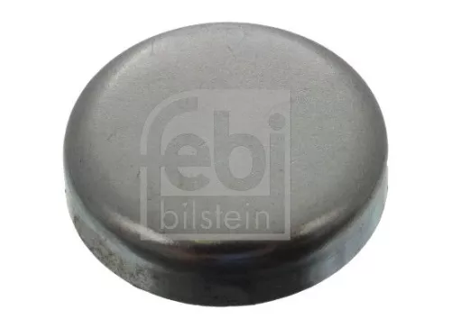Frost Plug