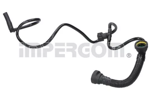 Hose, crankcase ventilation