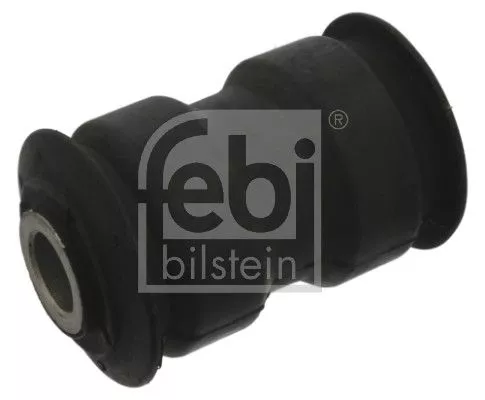 Bushing, leaf spring