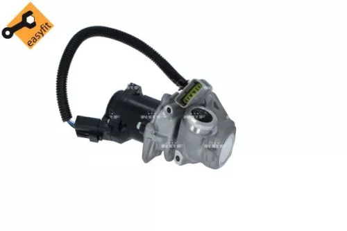 EGR Valve