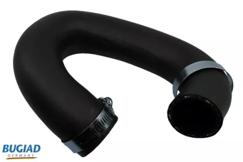 Charge Air Hose