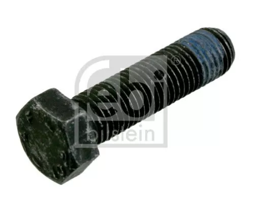 Bolt, brake caliper