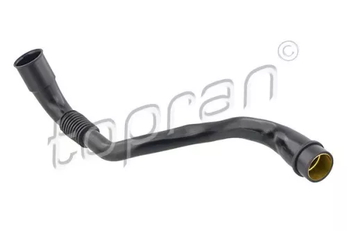 Hose, cylinder head cover ventilation