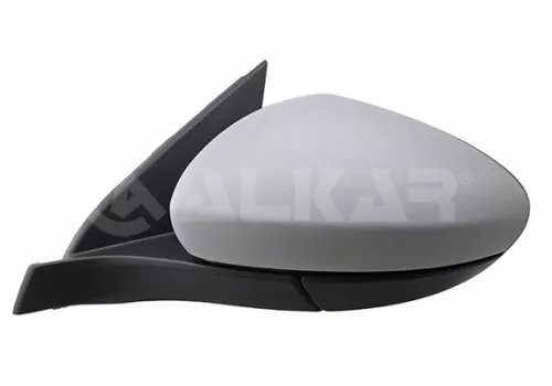 Exterior Mirror